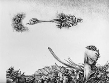  Fliehender Maulwurz aus der Serie Pflanzen, 1985, Lithographie, 22 x 28 cm 